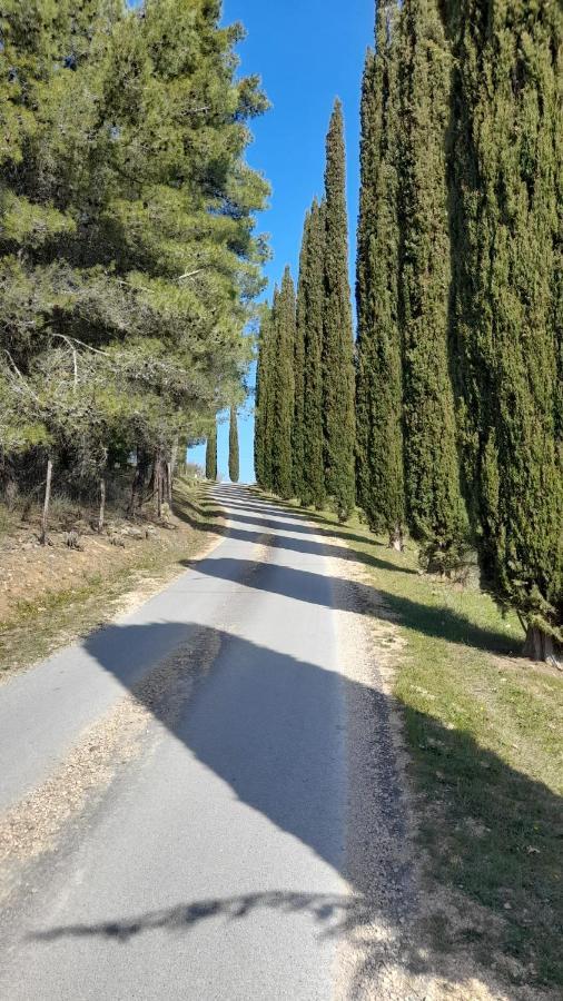 Il Poggio Di Teo