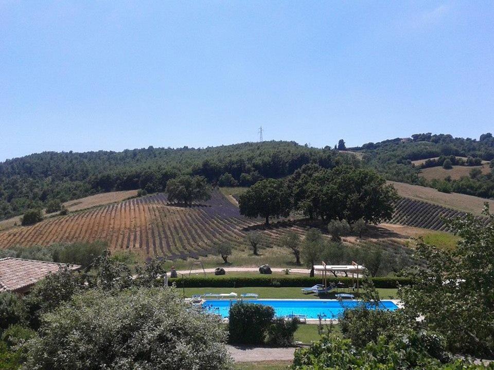 Il Poggio Di Teo
